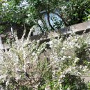 완서농장 이미지