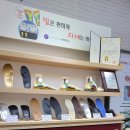 건강100세라이프