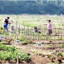 중간말농장 이미지