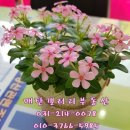 매탄공인중개사사무소 이미지