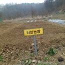 울안농장 이미지