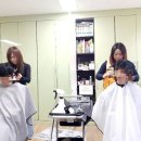 커트클럽 Daum카페