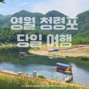 영월 청령포 여행 주말 웨이팅 줄이는 팁 &amp; 청령포 맛집 감자바우 옹심이 후기