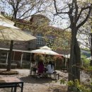 베니샤프커피(본점) 이미지