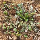 주)진농장 이미지