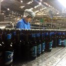 5000맥주 이미지