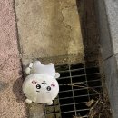 휘어지는 법을 모르고 부러져 봤다