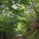 신상트레킹코스/전남 광양 백운산 '천년숲길' 이미지