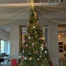 리셉션 | 대전 둔산동 카페 크리스마스 거꾸로 트리 리셉션 후기