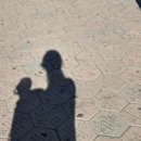 주식회사 익스프레스게임 | LA 디즈니랜드 2일차 티어6 어드벤처 파크, 놀이기구, 분수쇼 후기!