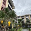 수퍼바디 짐 | 2박 3일 이용한 호이안 가족숙소 ‘벨 마리나 호이안 리조트‘ 내돈내산 숙소 후기