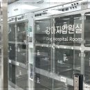 24시 당신의 동물의료센터 이미지