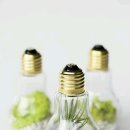 미니정원(테라리움) 이미지