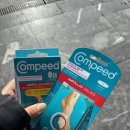 필그림약국 이미지