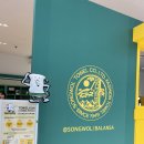 송월타올동부산