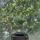 블라인디드바이커피비비씨