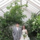 푸른정원 | [스튜디오 06] 식스플로어_ 푸른 정원 속 스튜디오 웨딩 촬영 후기