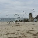 윤호민박 이미지