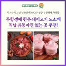 대전 정육 도소매 추천 | 무항생제 한우·돼지고기 직납 유통마진 없는 곳