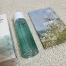 (주)대승에코그린 | 에코비 진정토너 닦토는 이걸로 딱! 진정에 각질제거까지 에코비그린토너