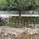 소요산충남식당 이미지