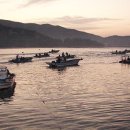 진도수산 이미지