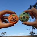 와이석정웰마트 | [고창 한 달 살기] 6. 할로윈 상하농원