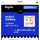 썸머콘서트 하하하 | 엔하이픈 WTL 썸머에디션 / 도쿄 2박3일 준비부터 방문기까지 / 신주쿠행