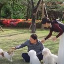 해진농장(2) 이미지