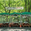 푸른숲식당 이미지