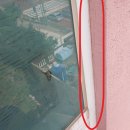 기장병설유치원 이미지