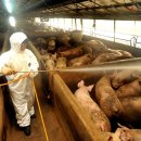 신청봉농장 이미지