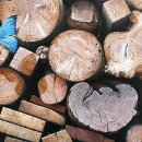 시간무늬 이미지