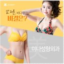 미나성형외과 네이버블로그
