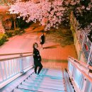 수뷰티센터 - 고양시 일산동구 중앙로1261번길 61 | 수뷰티센터