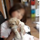 뽀대난 멍냥이 이미지