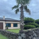 귀덕 숨비 이미지