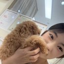 발렌티몽 이미지