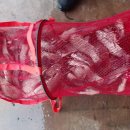 OK낚시터 이미지