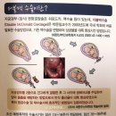 강블맥