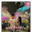 서울 부산 대구 김천 야간 벚꽃 명소
