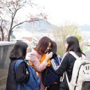 김해동광초등학교 이미지