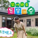 아름드리상회