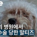 주식회사 이노바이오 이미지