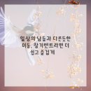 라이프렌터카 네이버블로그