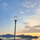 늑대와 여우 컴퓨터 이미지