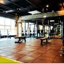 메이저휘트니스클럽 이미지