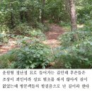 파평윤씨 윤원형 정난정 묘지 답사-1 이미지