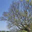 남미륵사 이미지