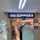코코이비인후과 네이버블로그